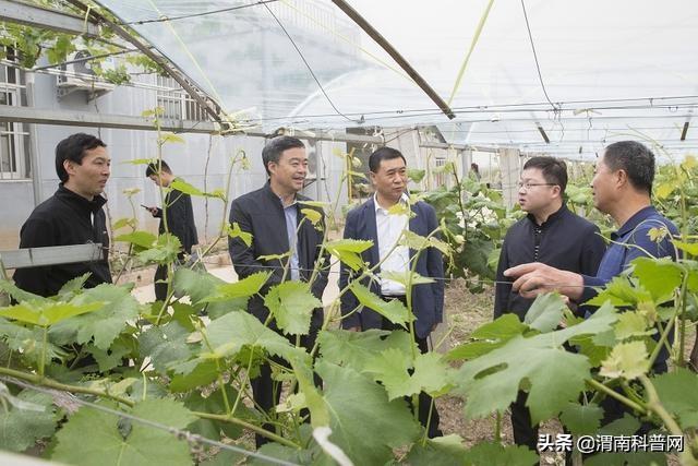 ʡ鵽μϵпƼСԺʱʵ