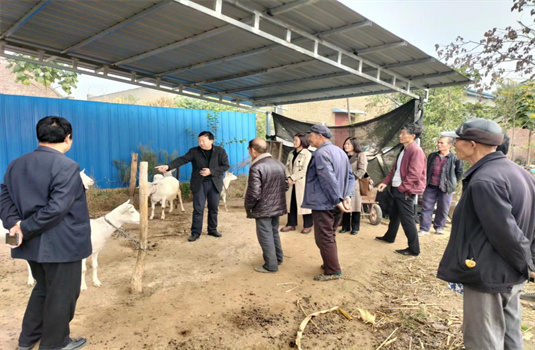 Ƽ־ԸũģǮӣһЩ ƽЭʵжöʮؼЧ