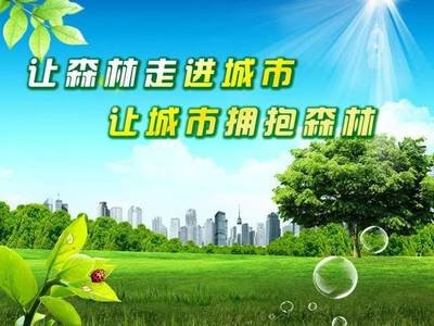 ɭֳСɭʲôΪҪɭʳ̽ɭֳ