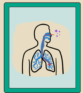 ��Ⱦ�¹�ת������Բ�ͣ���þӼ����ƻ���ȥ��CT��