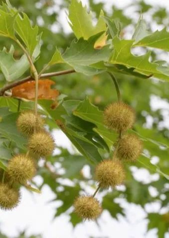 ��ů���������������ڻ��۵���֪ʶ