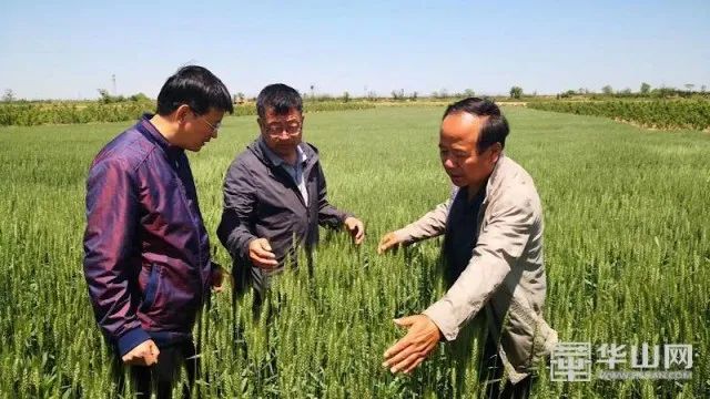 ��5��30μ�������Ƽ������߷��չ��������