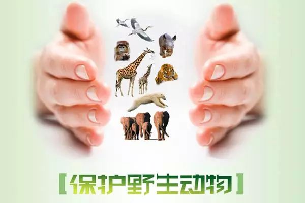 ����Ұ�������Ӧ��֪����Щ