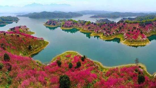 �̵�219������ɭ�ֳ���