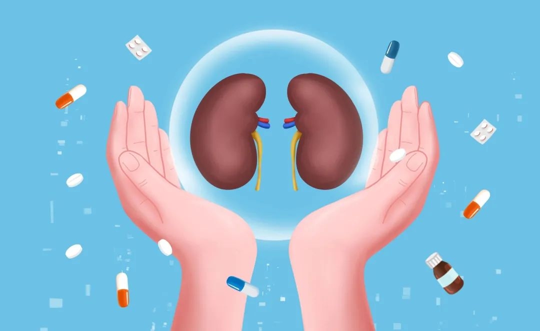 �������ಡ���� ��ú��չ��Լ�������������