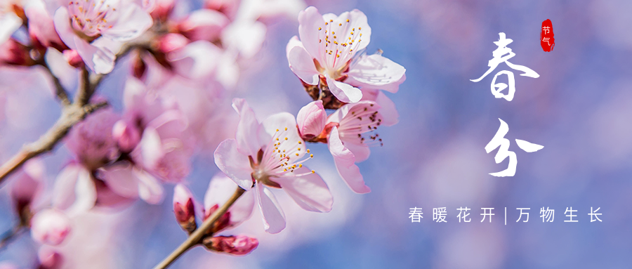 ����ʮ�Ľ���������ح��ů���� ��������