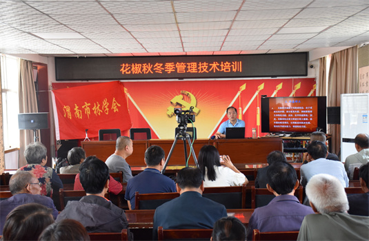 μ2024ꡰѧ׳ֱѵڻŴ忪