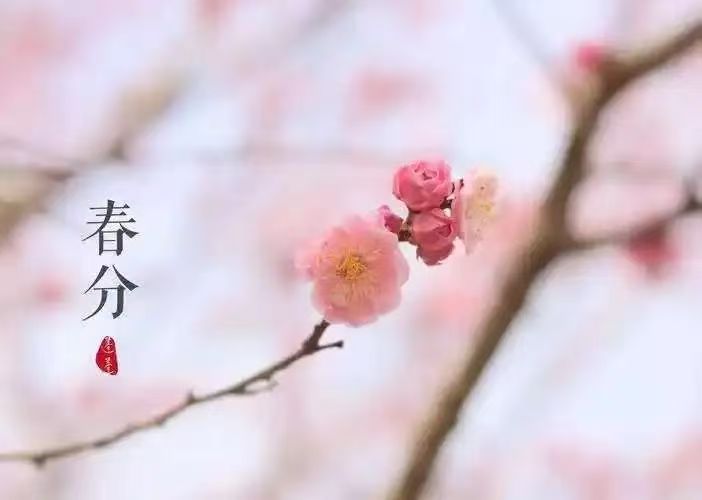 ��ʮ�Ľ����������֡���������������������ʱ