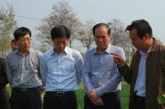 ʡũҵڼָ      ѳСع