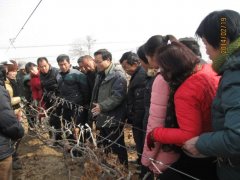 μЭٰ22조Ƽ֮ѲҵЧѵ