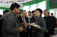 μпЭŲμӵ22йũ߻