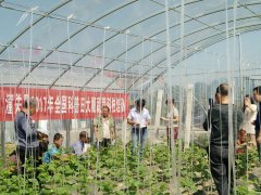 ؿЭչ2017ȫմ߲˿Ƽѵ