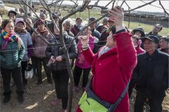 μϣ⨺Źũ пЭרҩ