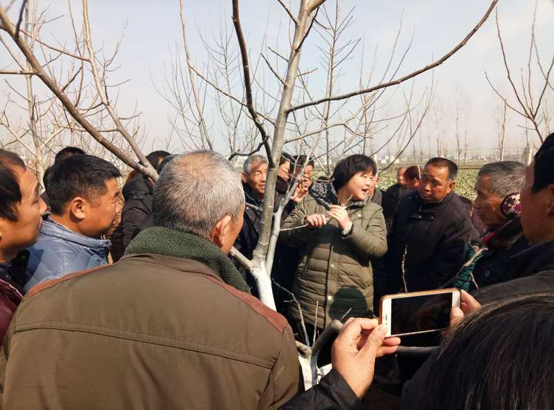 ݻ񽱹ũȺֳμƼ³ɹ