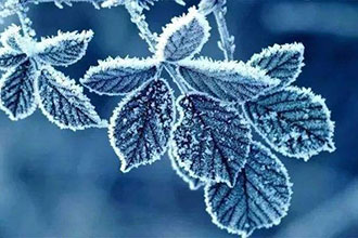 𽥱䣬Щҥֳźˢһڸ