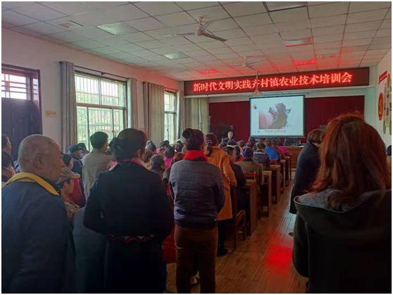 ᳹ʮŽȫᾫ   ƽЭж  Ƽ־ԸʵüѵӰ