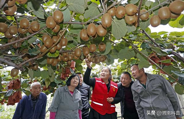 μпЭʵʩƼж ȫо׼ƶ