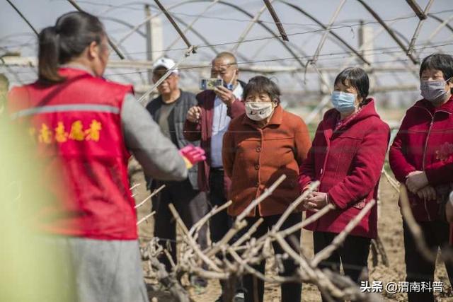 μеڶʮ˽조Ƽ֮ͬѵĻ