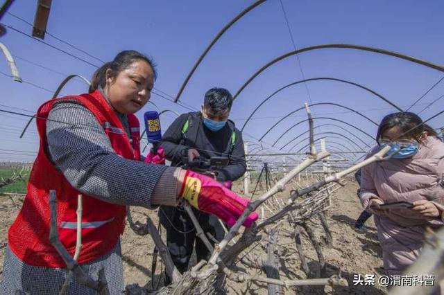 μеڶʮ˽조Ƽ֮ͬѵĻ