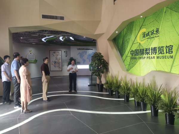 ʡЭ쵼μйڿѧʴ·չоĽ蹤