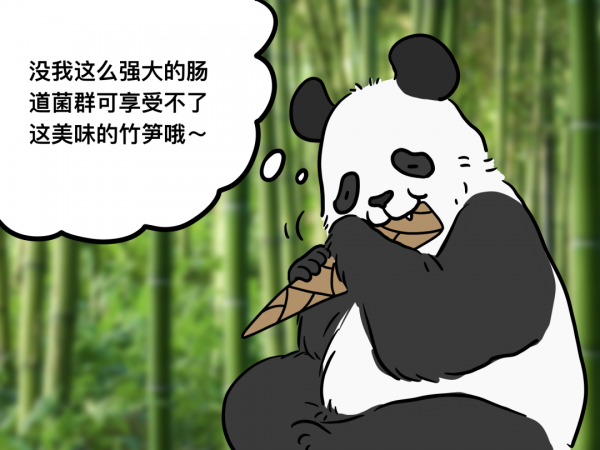 ����è�Ե��������Ȼ�ж���