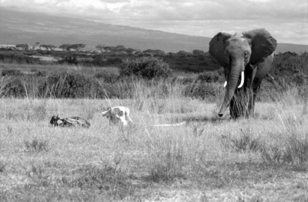 ��ͬ����ȥ��������Ҳ�ᱯ����