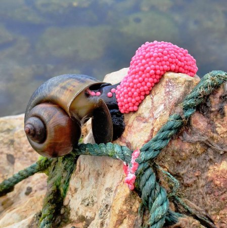 ���ڼ�������6000������С�ĳ��������ݿ��ܵ��ز���