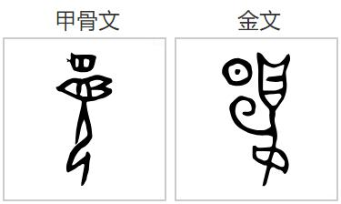 �������� | ���������Ի������������ĺ������ܾ���