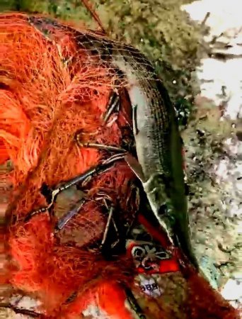 ����֧������������ȸ����| ��Ҫ�ٷ�����