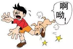 2022깷ҧ⳥׼¹涨ʲô?ҧɳô?