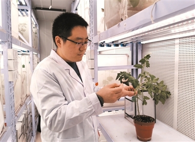 用心“刨地”收获一流研究成果