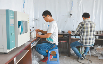 让盐碱荒地变生态良田