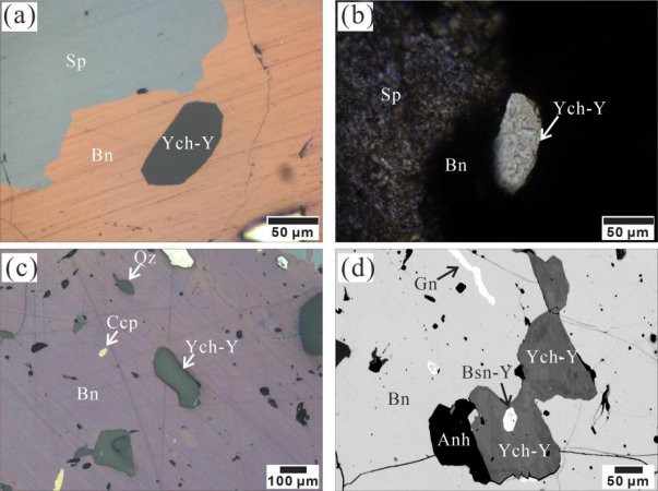 ҹѧҷϡ¿ع̼ƿƿ