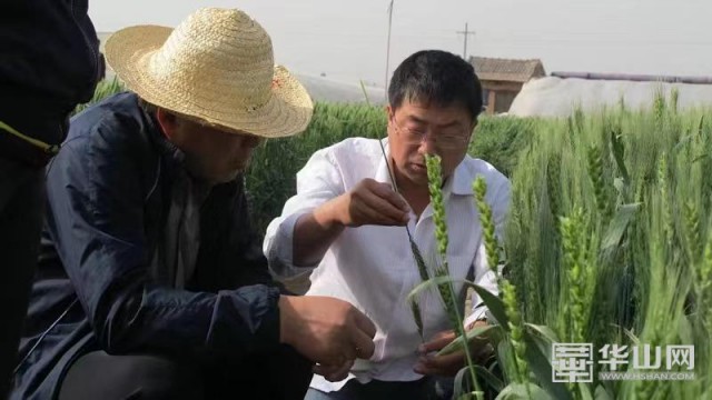 ���������Ƽ������ߡ���������