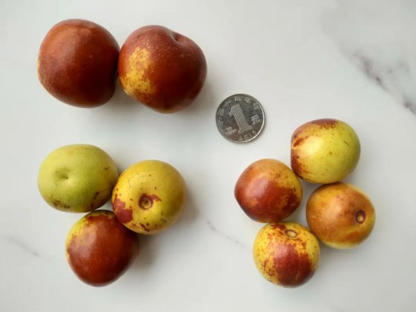 �＾�ά����C��ˮ������û�Ծ�̫̫̫̫��ϧ�ˣ�