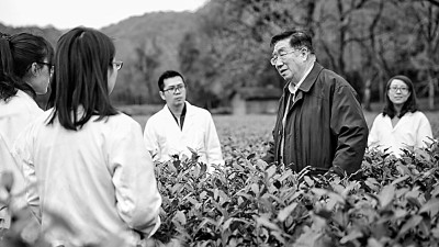 “茶院士”陈宗懋:一片叶子也关情