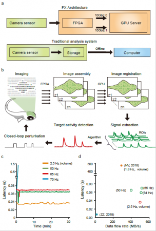 �ҹ���ѧ���״�ʵ�ֶ԰�����ȫ��ʮ����Ԫʵʱ���