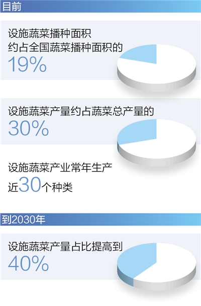 Դũҵũ岿ȫִʩũҵ滮20232030꣩ͼ̻ΰ