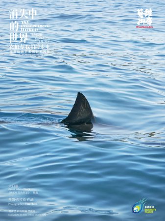 �����纣�����ؿ�������Ȼ��ѣ�������һ��ȥ���̽�ء���