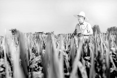 “稻迷”张洪程 “稻迷”张洪程